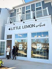 OVL Little Lemon Arts